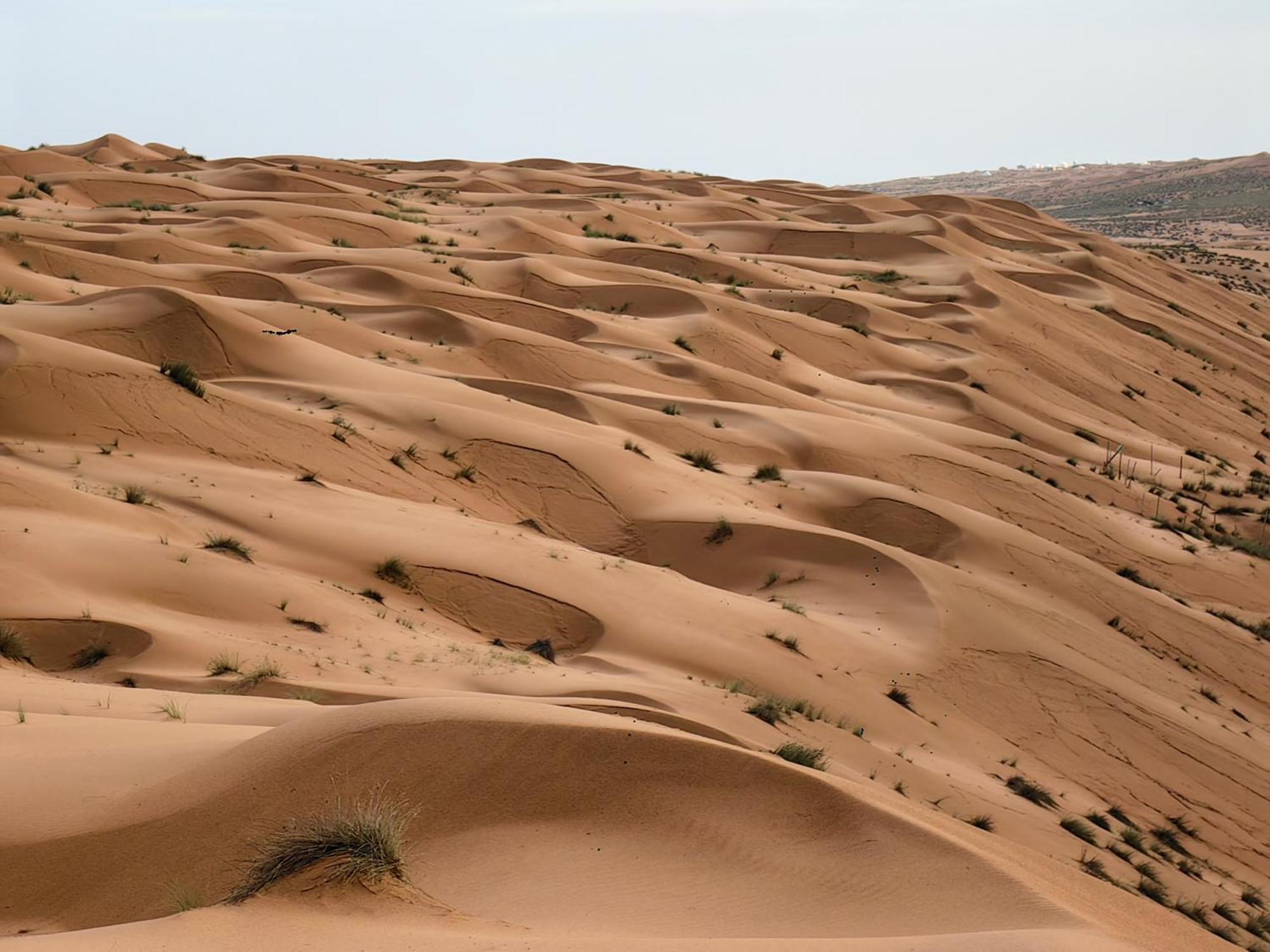 Desert Rose Camp Badīyah Exterior photo